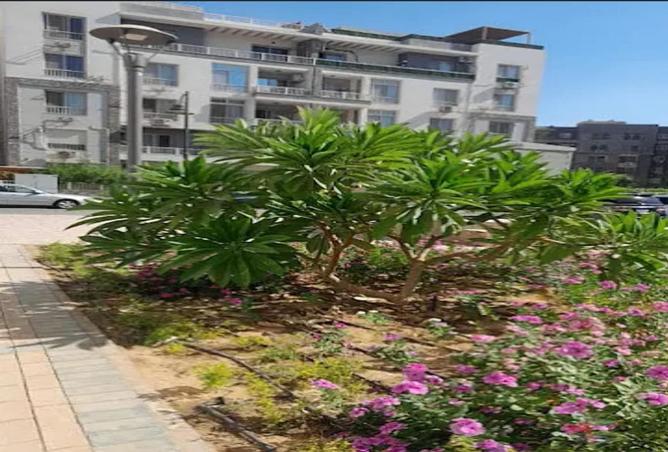 8141746 - Property Image 3