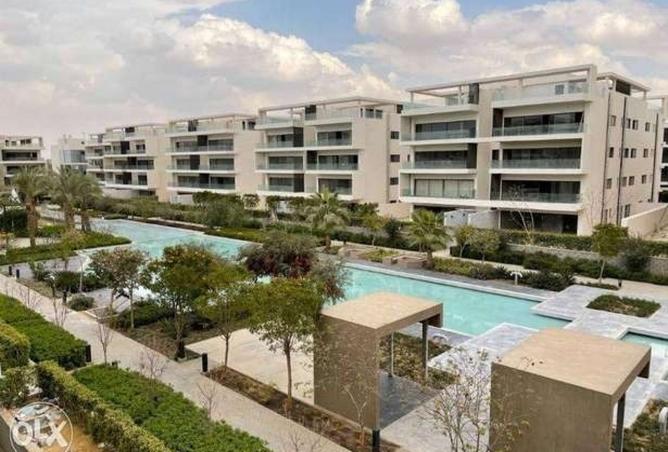 8395044 - صورة العقار 3