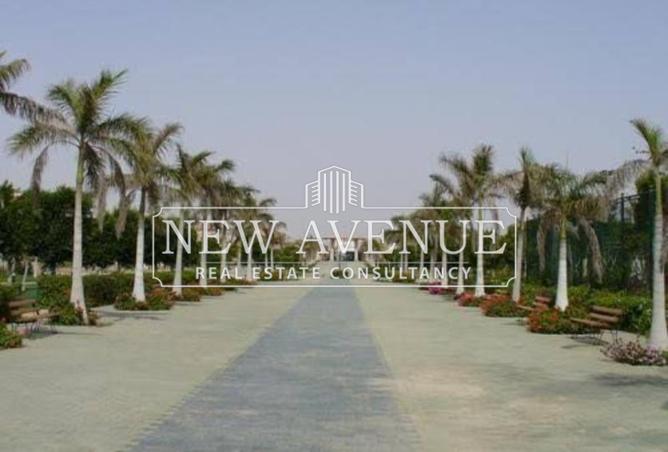 7934978 - صورة العقار 3