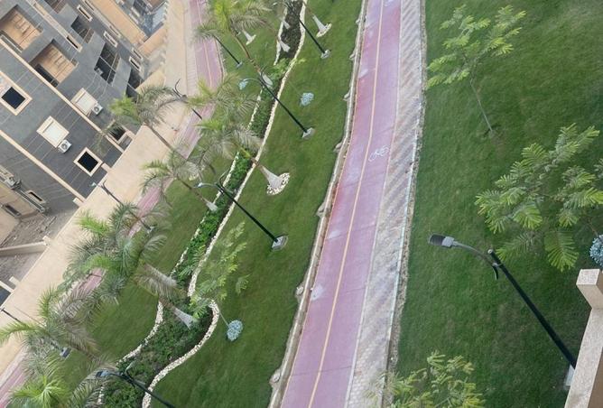 8525135 - صورة العقار 3