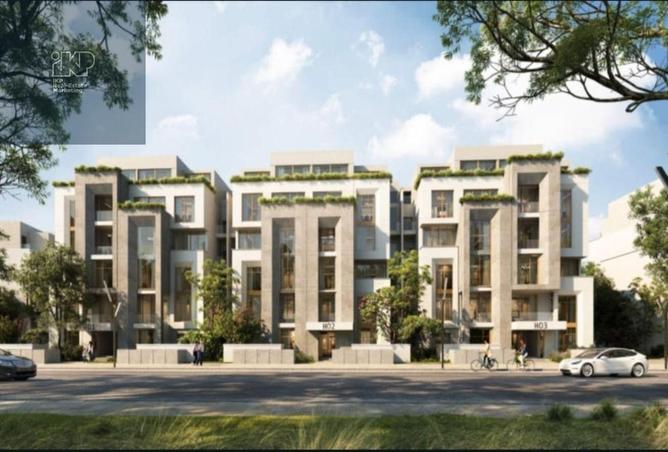 7929116 - Property Image 3