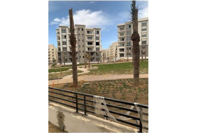 8129930 - صورة العقار 3