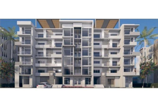 8139383 - Property Image 3