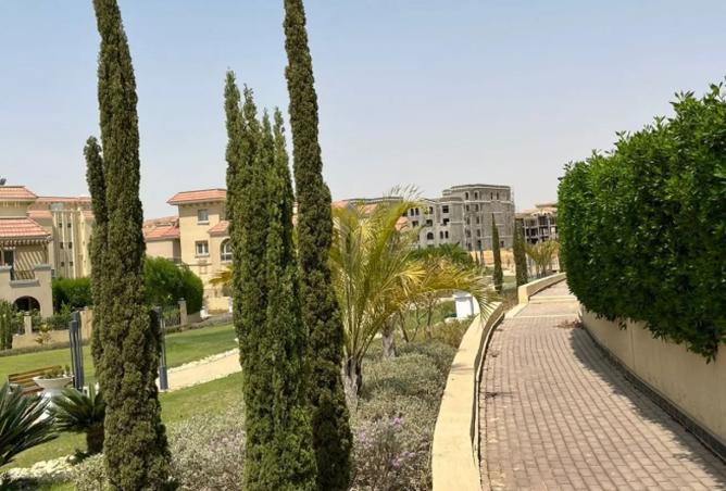 8083191 - صورة العقار 2