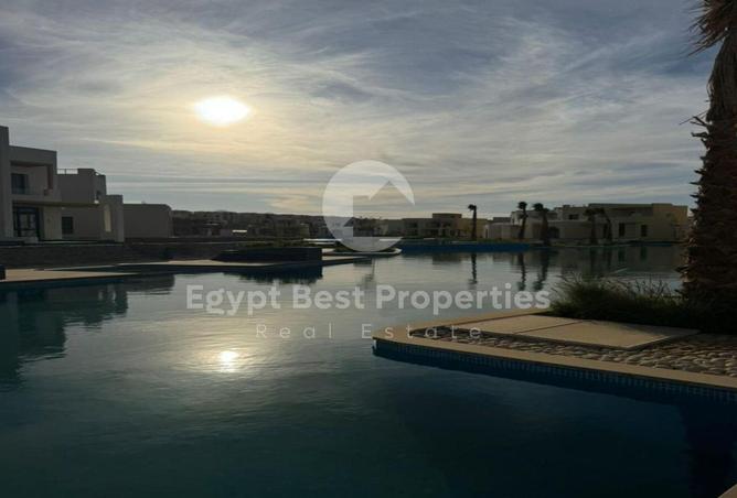 8297262 - صورة العقار 3