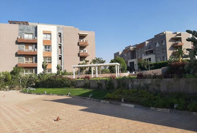 8009515 - Property Image 3
