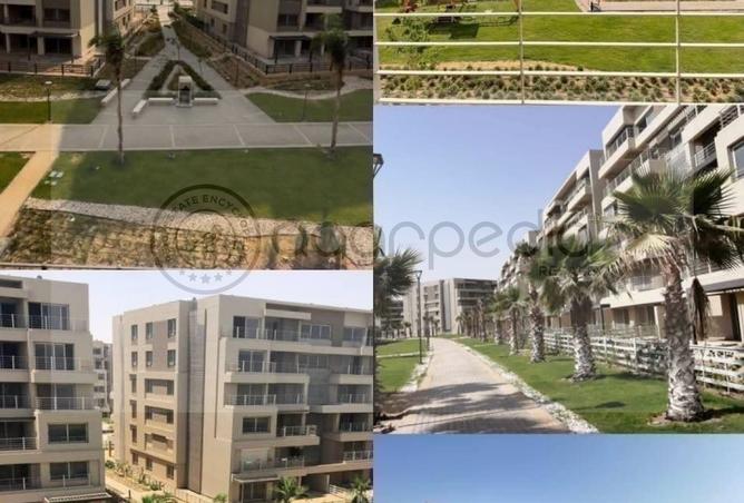 7891812 - Property Image 3