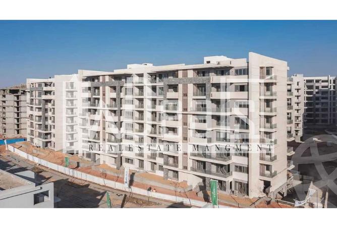 8043026 - Property Image 3