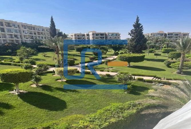 8072583 - صورة العقار 3