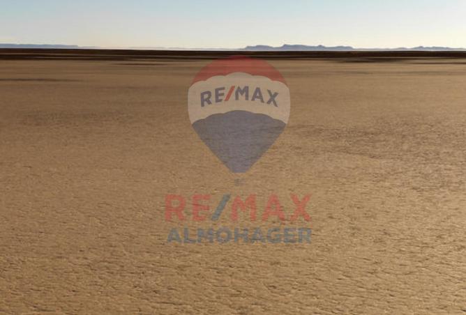 8409961 - Property Image 3