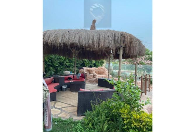 8060874 - Property Image 3