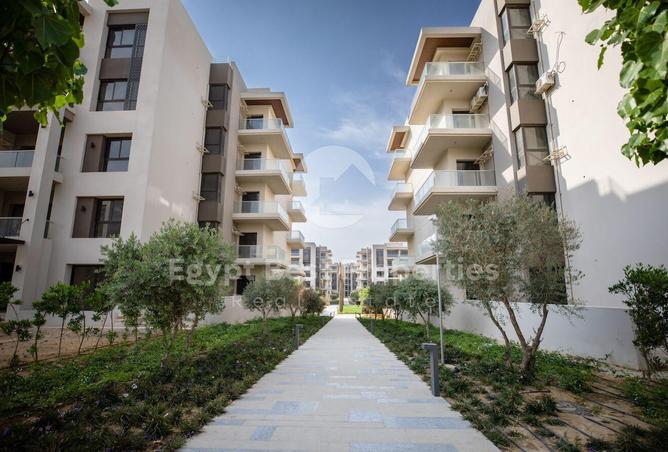 7964463 - الصورة الرئيسية للعقار