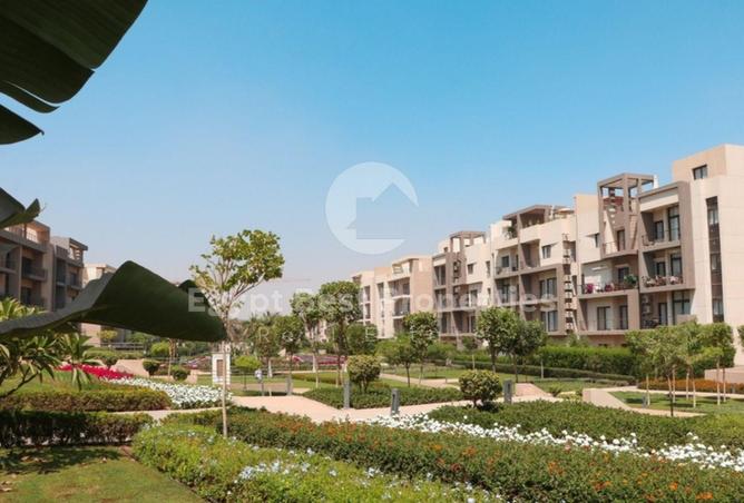 8274563 - Property Main Image