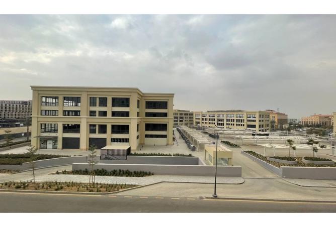 8050816 - Property Image 3