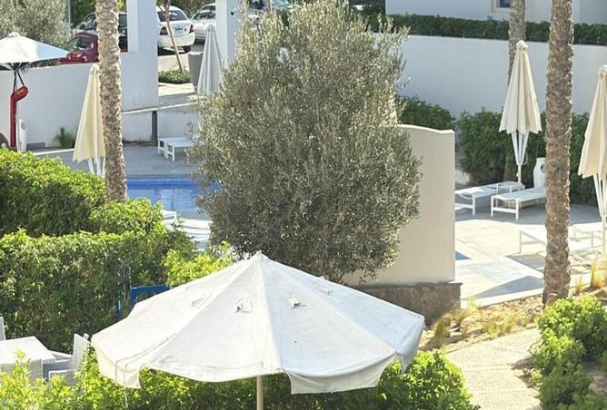 8208853 - صورة العقار 2