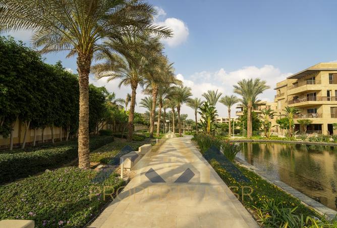 8566410 - Property Image 3