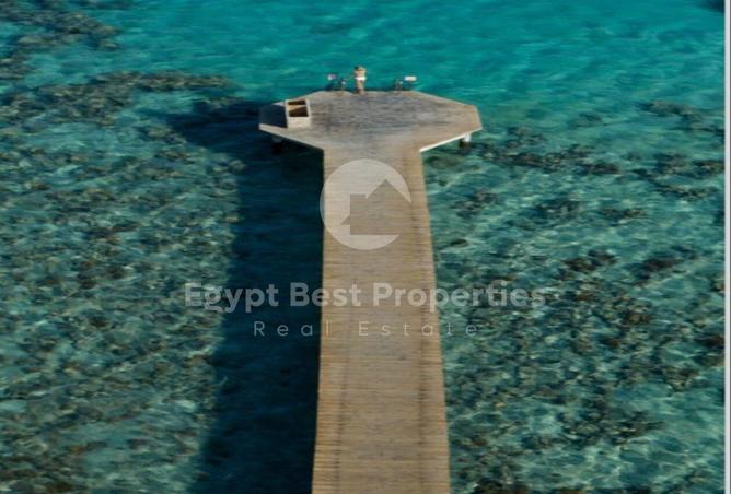 7958162 - صورة العقار 3