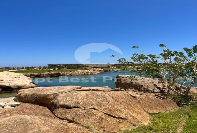 7976919 - Property Image 2