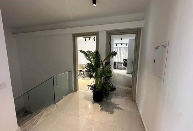 8140197 - Property Image 3