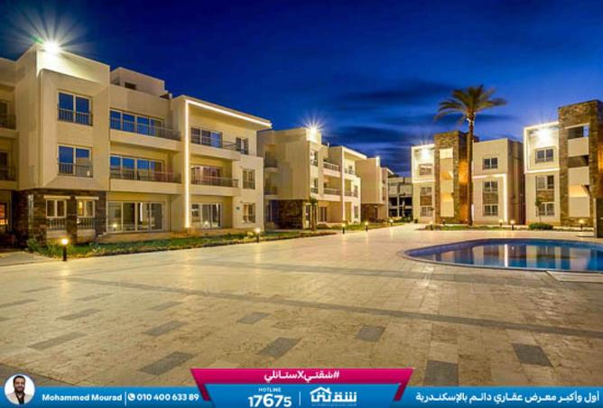 8487519 - Property Image 2