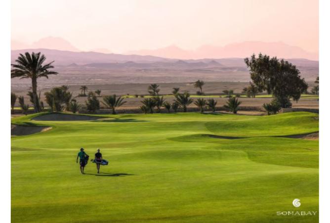 8371326 - Property Image 2