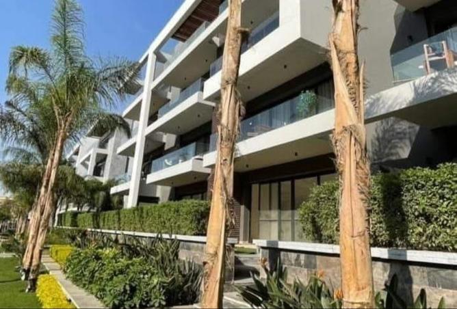 8427105 - Property Image 3