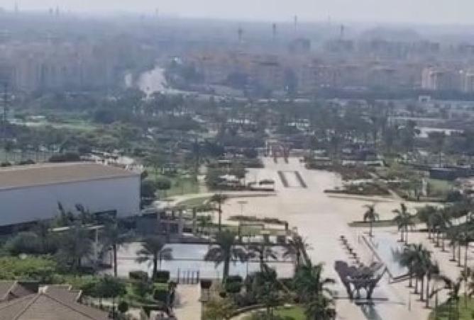 8303598 - صورة العقار 3