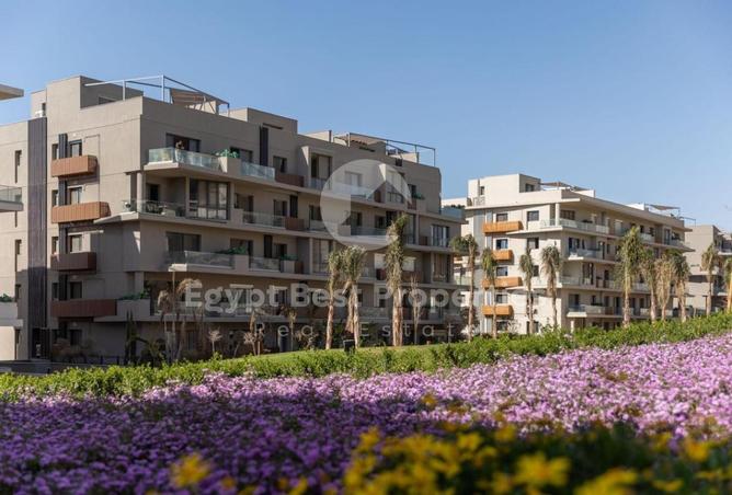 8010772 - Property Image 3