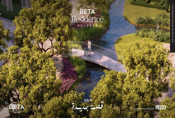 7969160 - صورة العقار 2