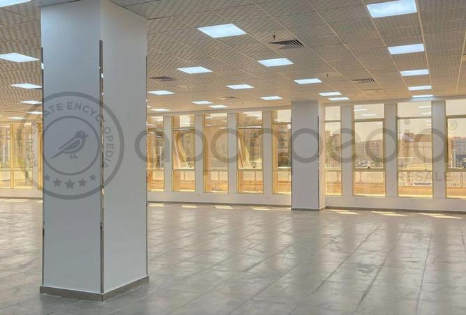 8439607 - Property Image 3