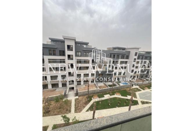 7887419 - Property Image 3