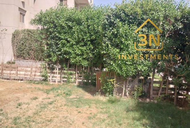 8202586 - صورة العقار 2