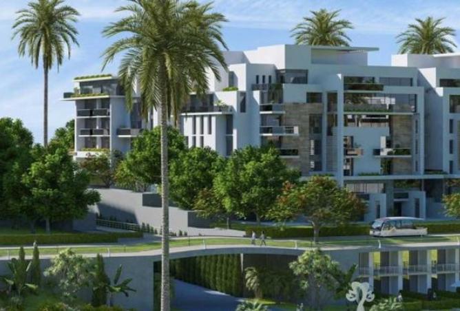 8432852 - Property Image 2