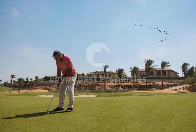 8142177 - Property Image 3