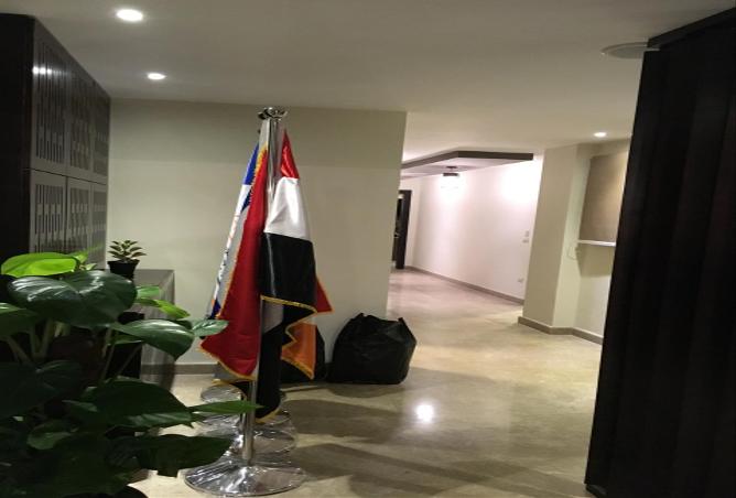 8197905 - صورة العقار 2