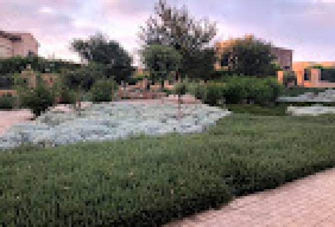 7895520 - صورة العقار 3