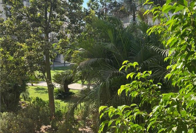 8058589 - Property Image 3