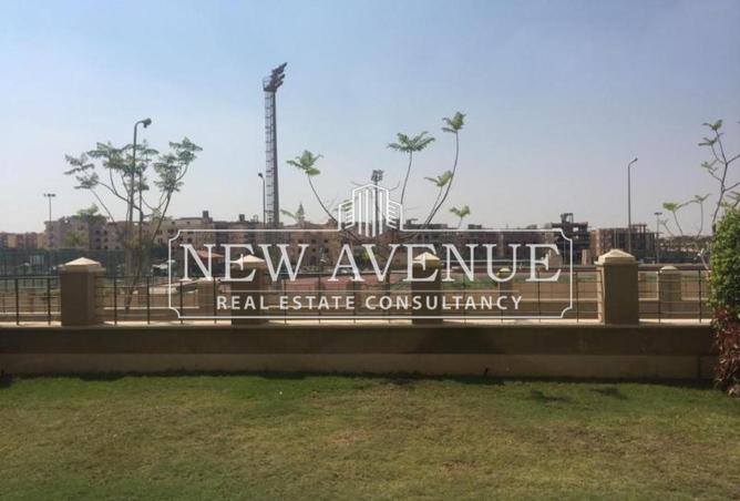 8205017 - Property Image 3