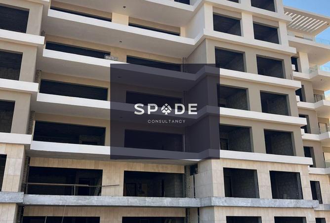 8540830 - Property Image 3