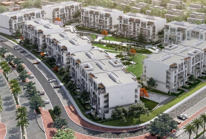 8447298 - Property Image 3