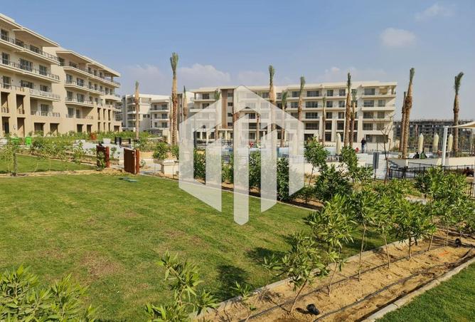 7921842 - صورة العقار 2