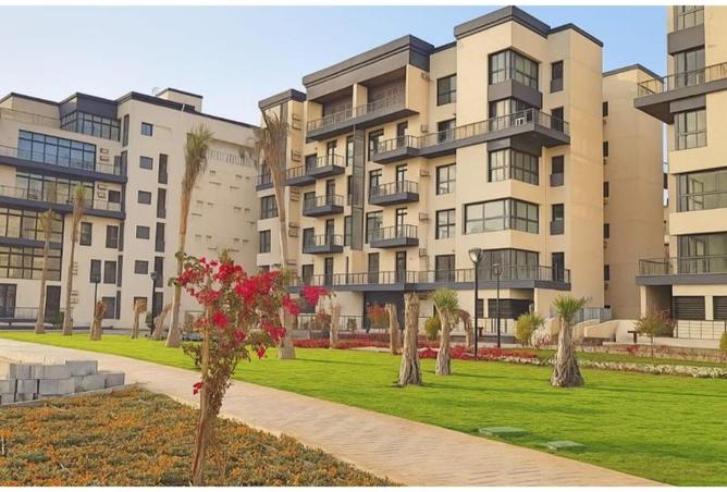 8369969 - Property Image 2