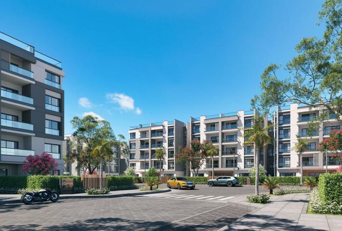 7918516 - Property Image 3