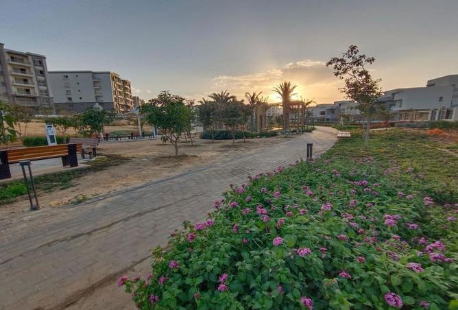 8547089 - Property Image 3