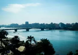 شقة - 4 غرف نوم - 4 حمامات للايجار في شارع عبد العزيز ال سعود - المنيل - حي المنيل - القاهرة