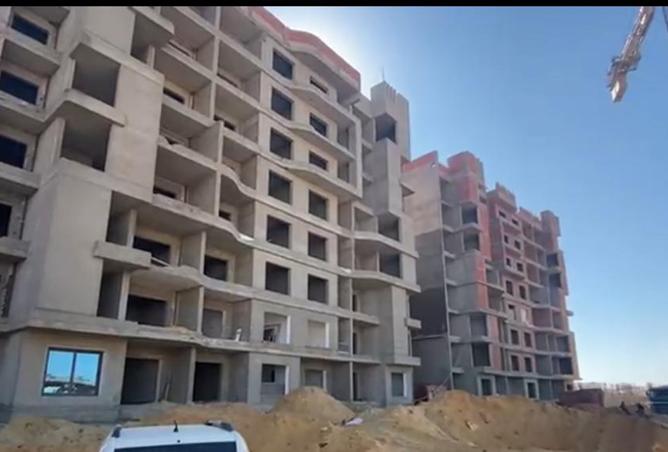 8288051 - Property Image 3