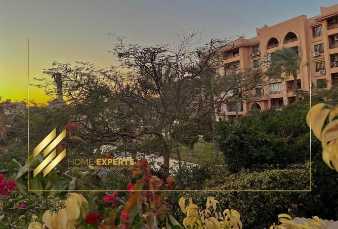 7961623 - صورة العقار 3