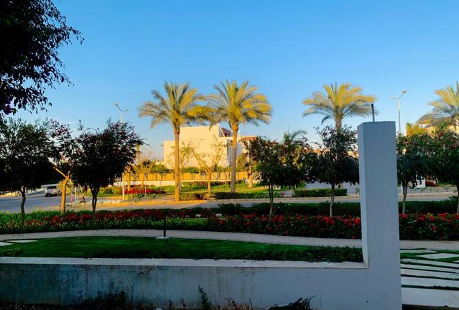 8056293 - صورة العقار 3