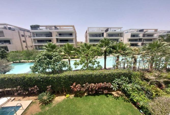 7929527 - صورة العقار 3