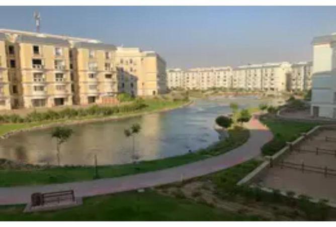 8191356 - Property Image 3